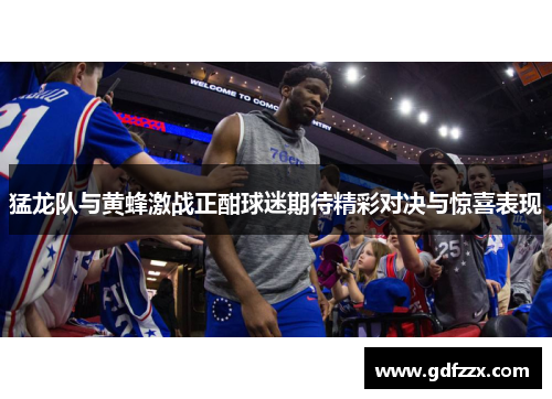猛龙队与黄蜂激战正酣球迷期待精彩对决与惊喜表现